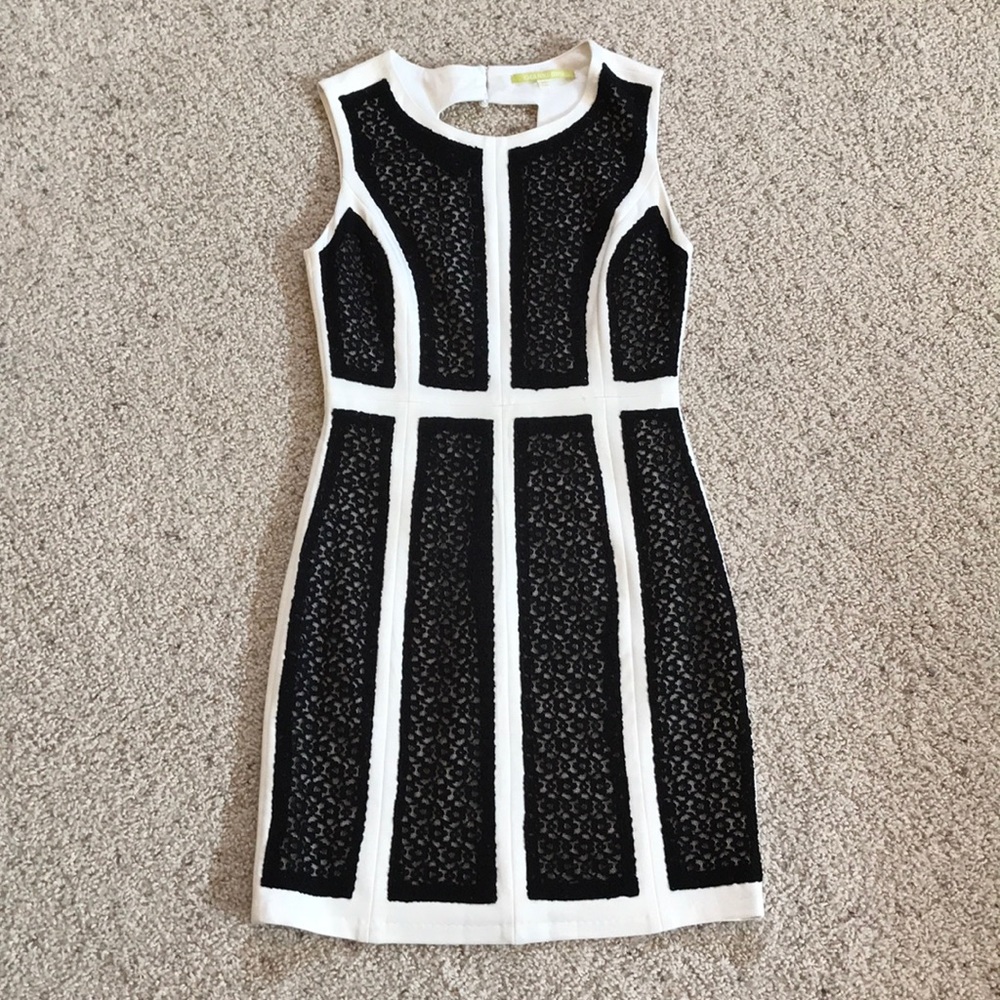 NWT, Gianni Bing Black & White Lace Panel Dress!